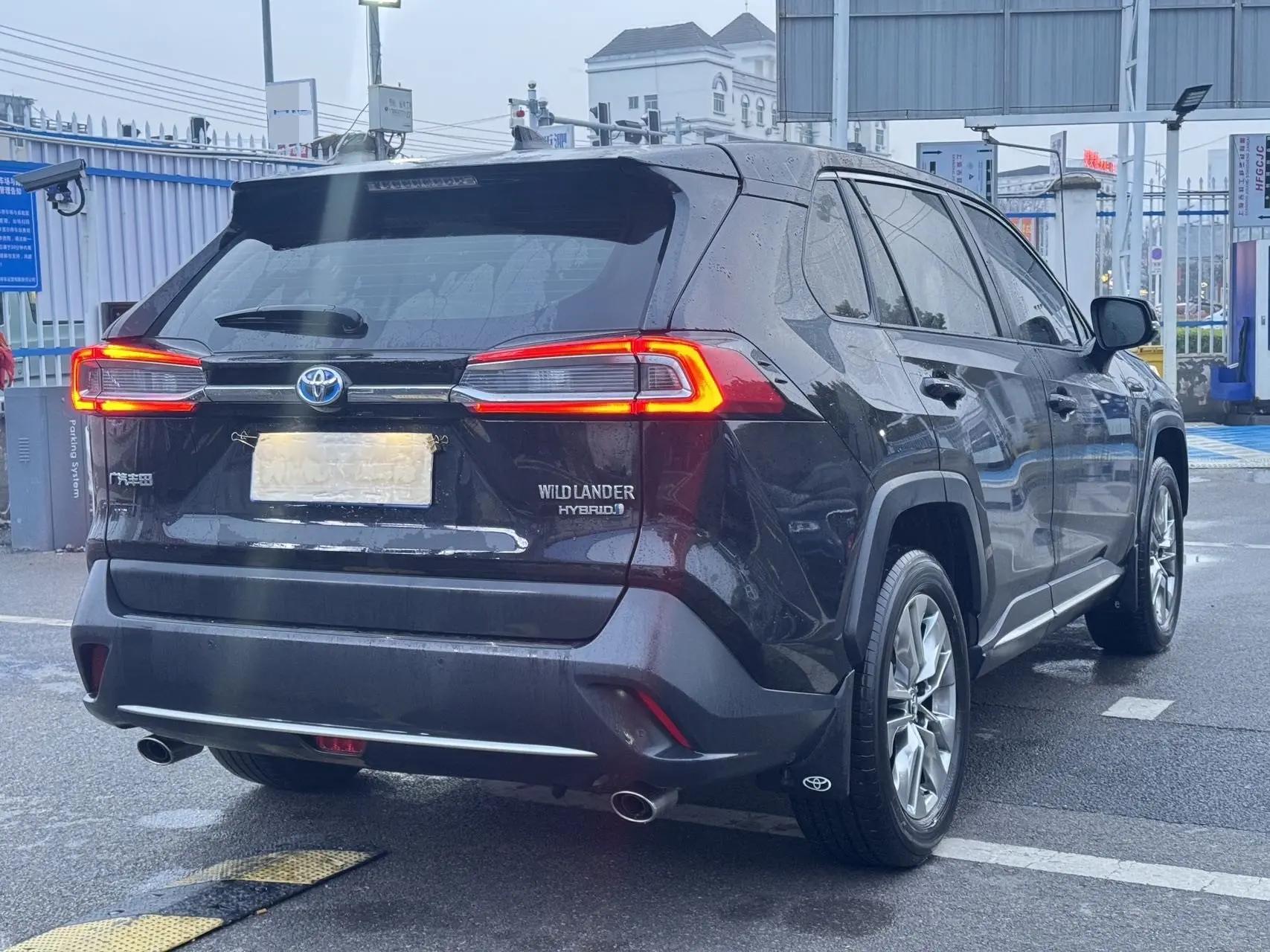 Willanda 2022 Dual Engine 2.5L E-CVT Two-Drive Leading Edition 9