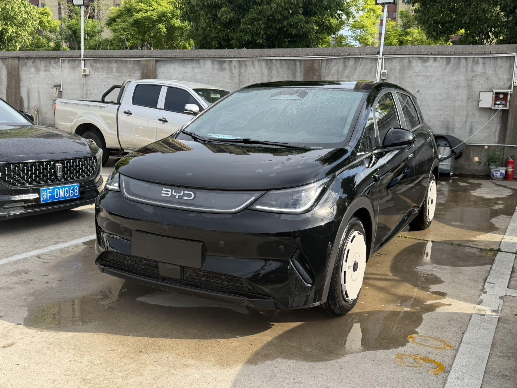 BYD 2025 Dolphin Intelligent Driving Edition 420km Free Edition Automatic