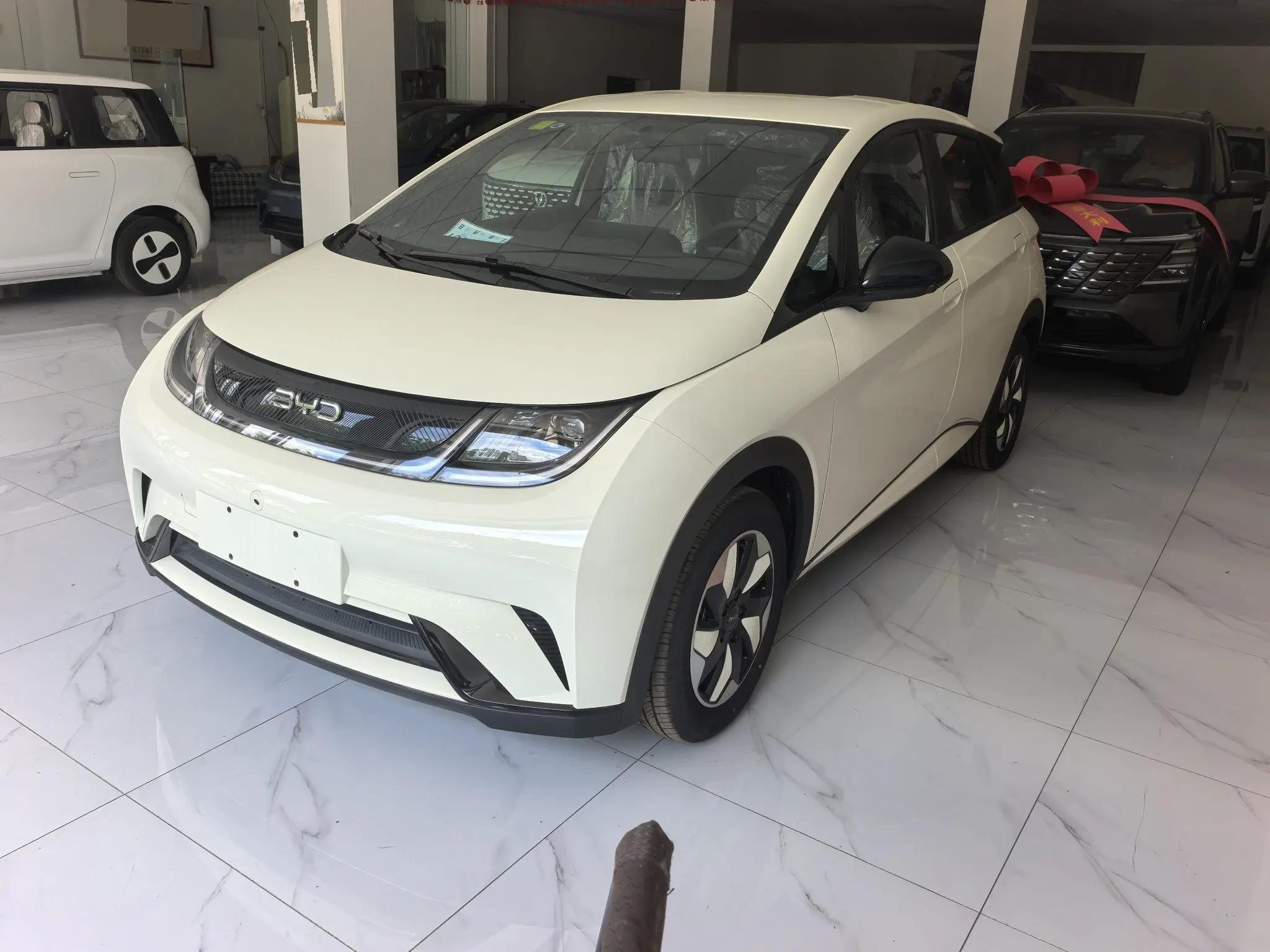 BYD 2025 Dolphin 420km Freedom Edition Automatic