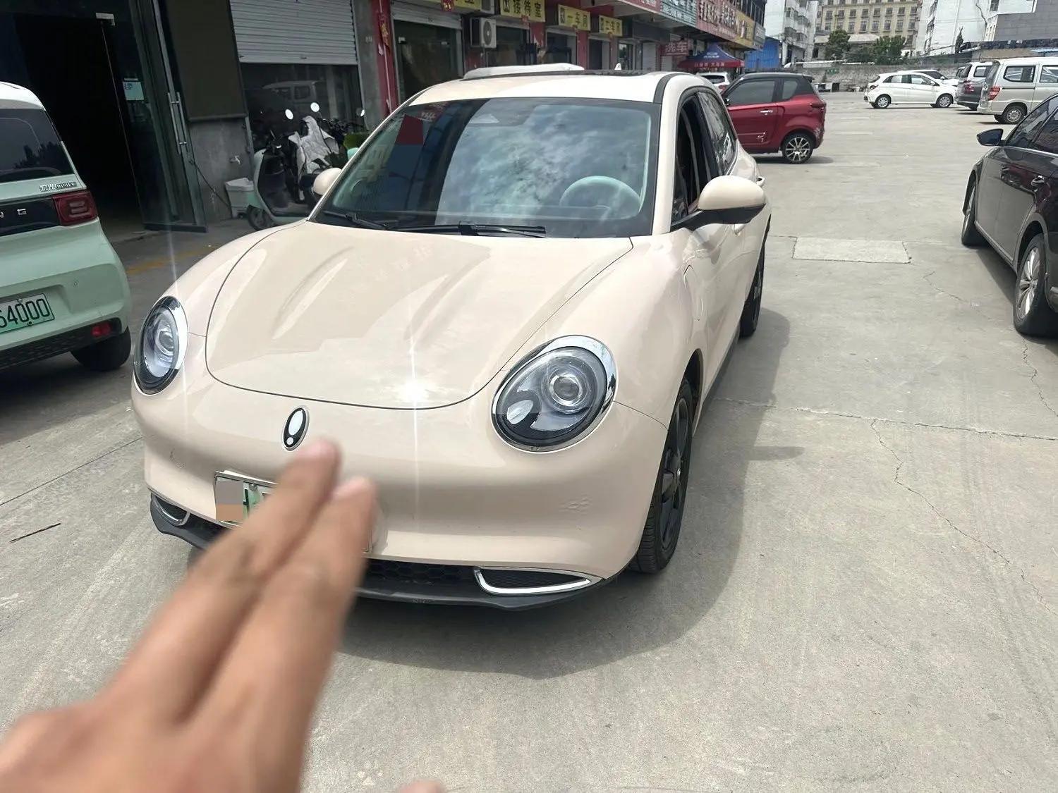 Ora good cat 2024 401km luxury model