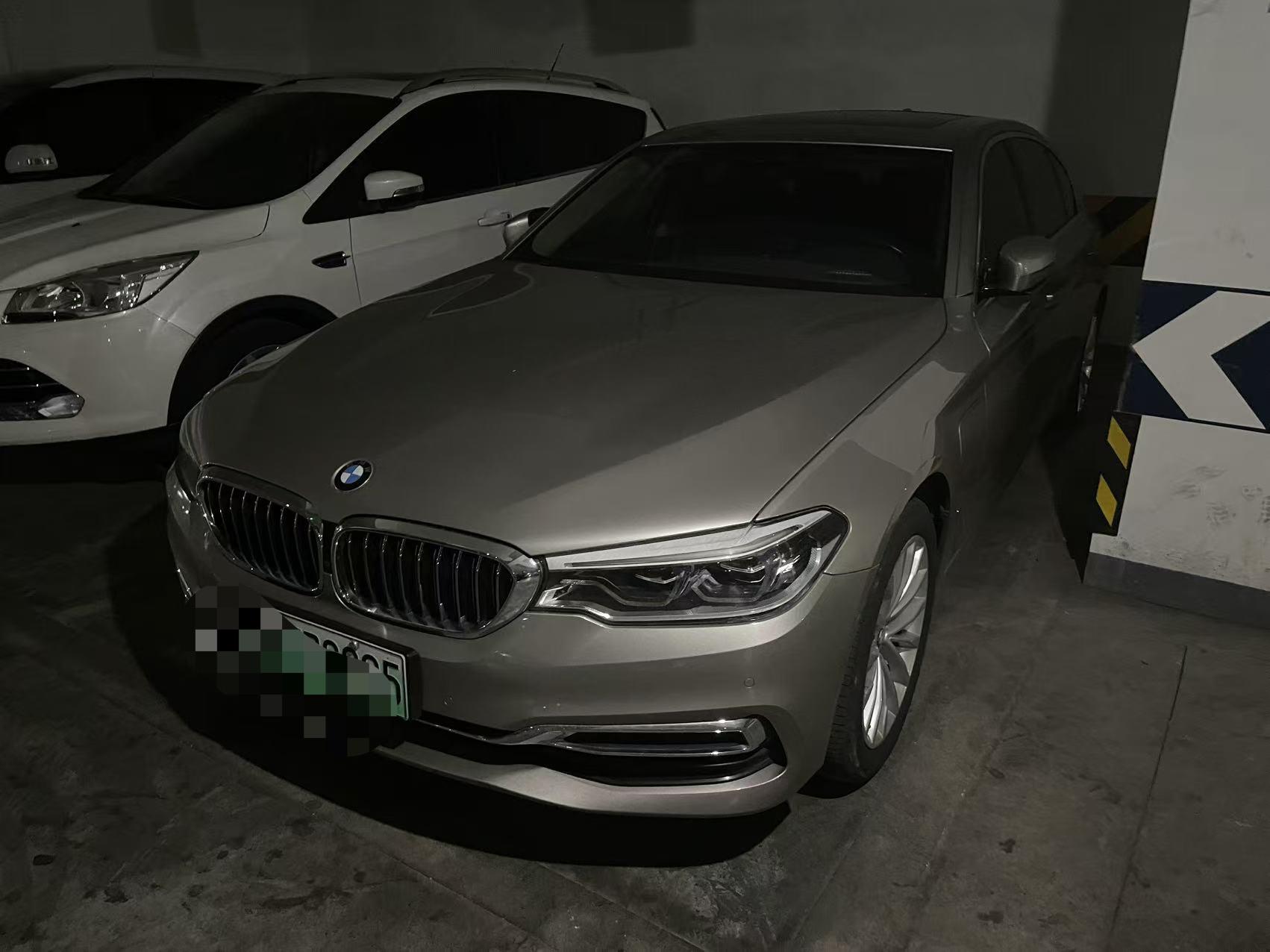 BMW 5 New Energy 2020 Mileage Upgraded 530Le Deluxe Suit