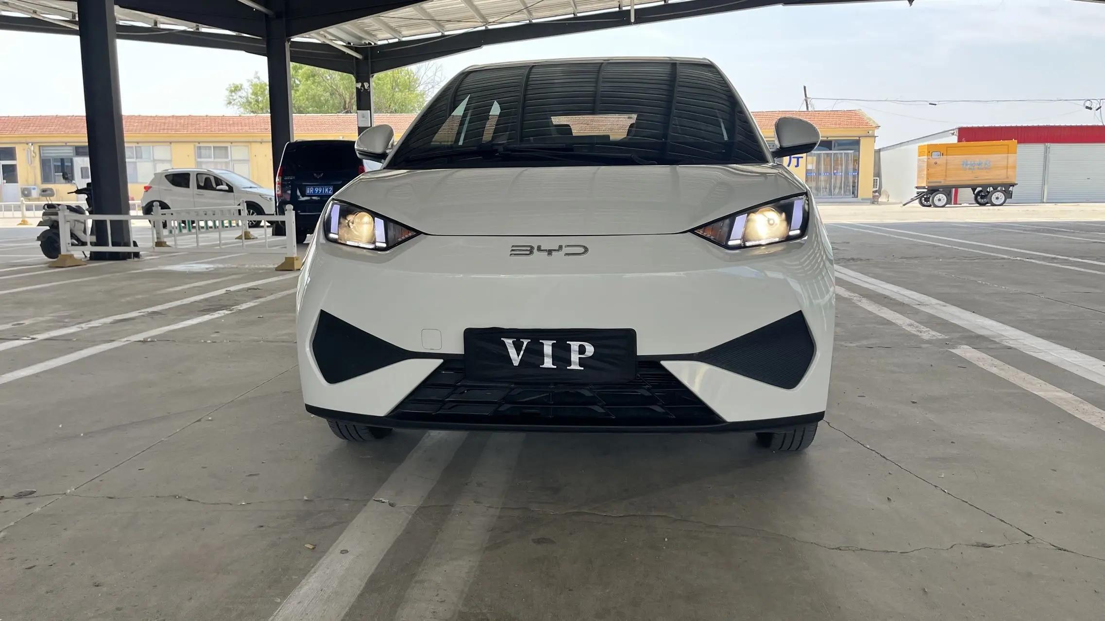 BYD 2025 Seagull Intelligent Driving Edition 305km Vitality Edition Automatic 2