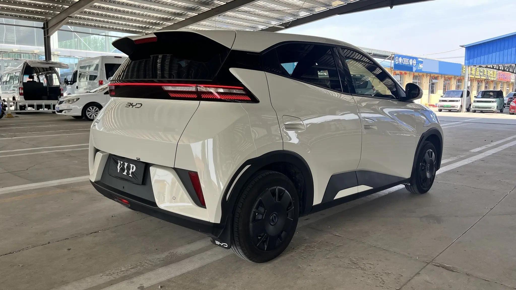 BYD 2025 Seagull Intelligent Driving Edition 305km Vitality Edition Automatic 4