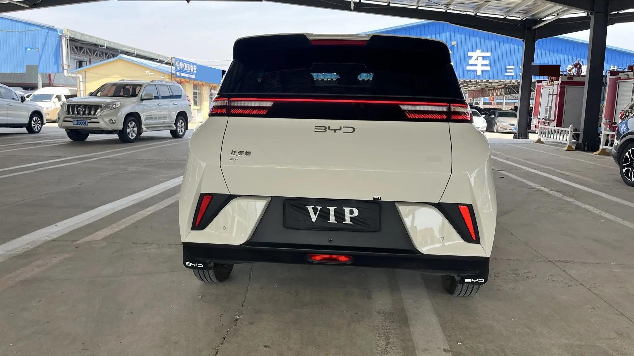 BYD 2025 Seagull Intelligent Driving Edition 305km Vitality Edition Automatic 5