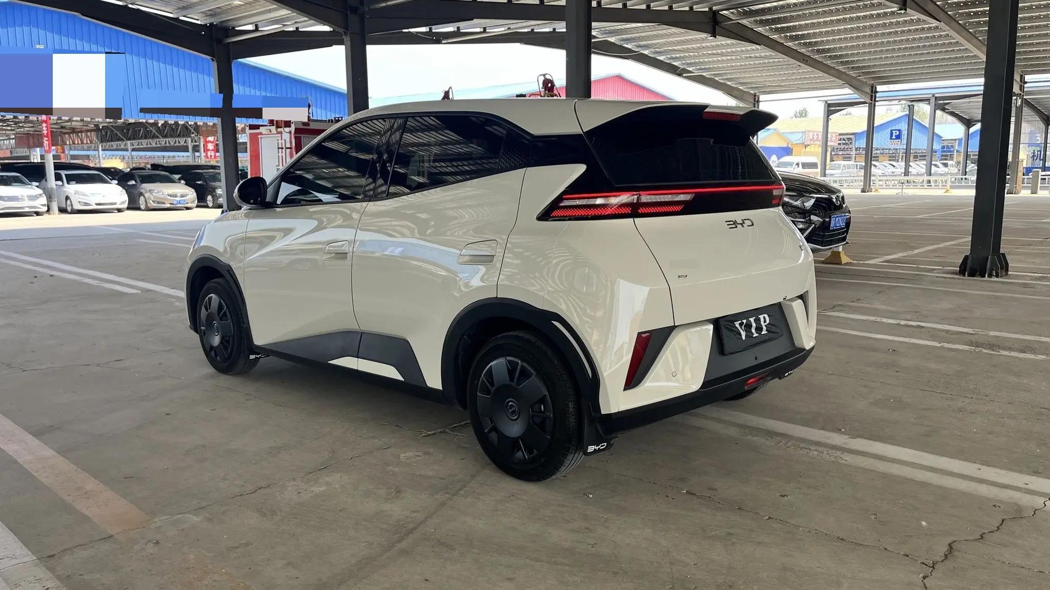 BYD 2025 Seagull Intelligent Driving Edition 305km Vitality Edition Automatic 6
