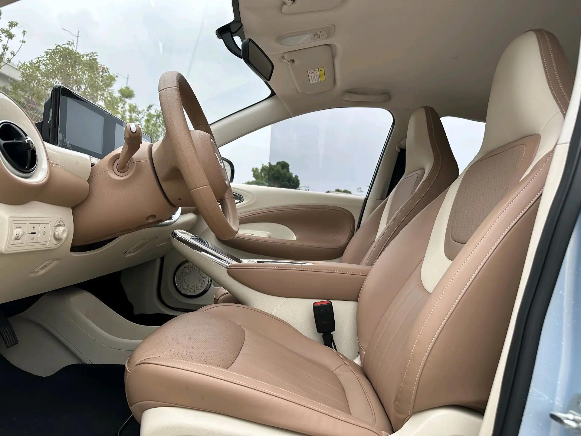 WuLing 2025 Plantronics 333km Enjoy Automatic Gear 7