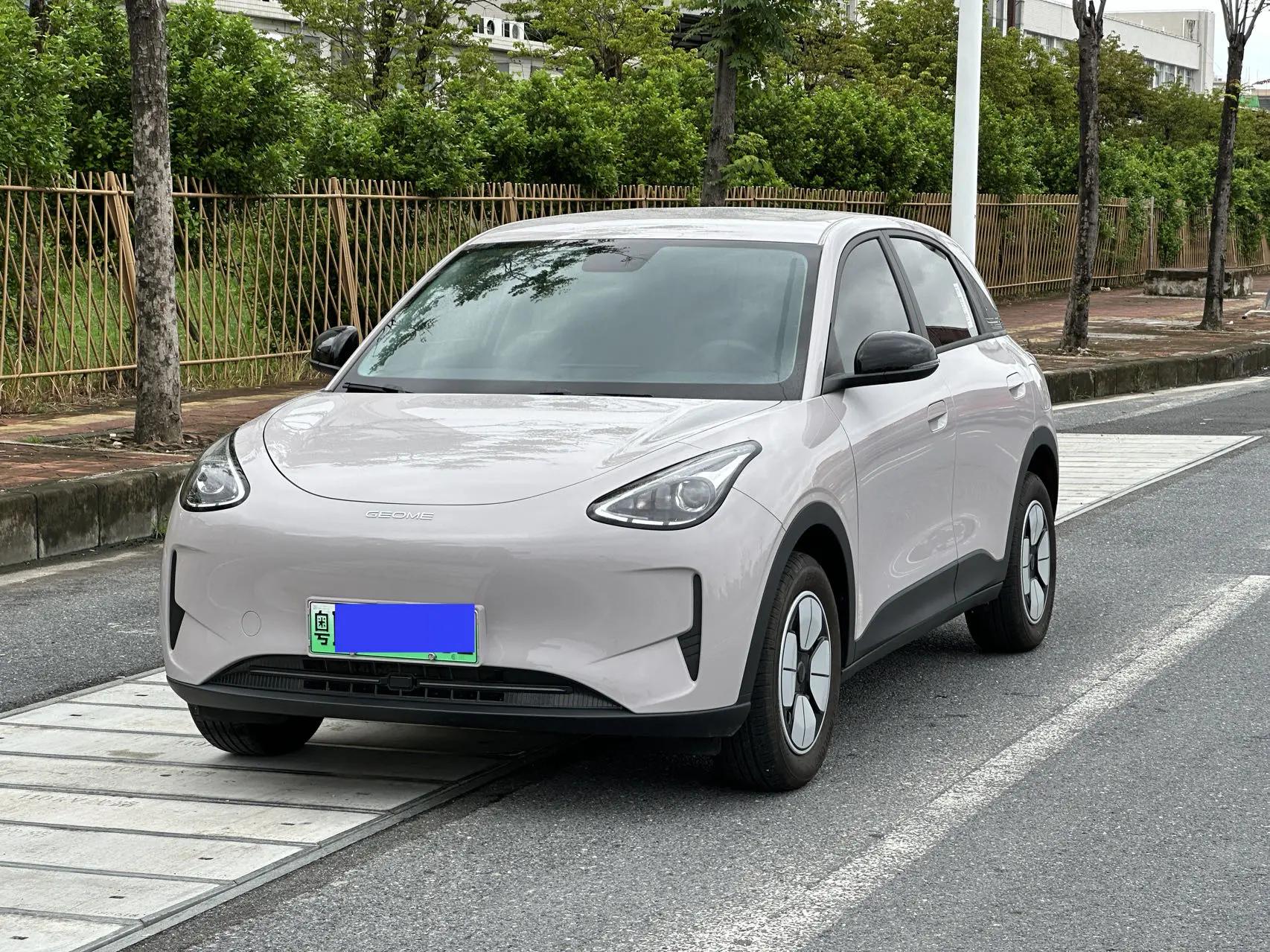 Star Wish 2026 Model, 310 km, Youth Edition