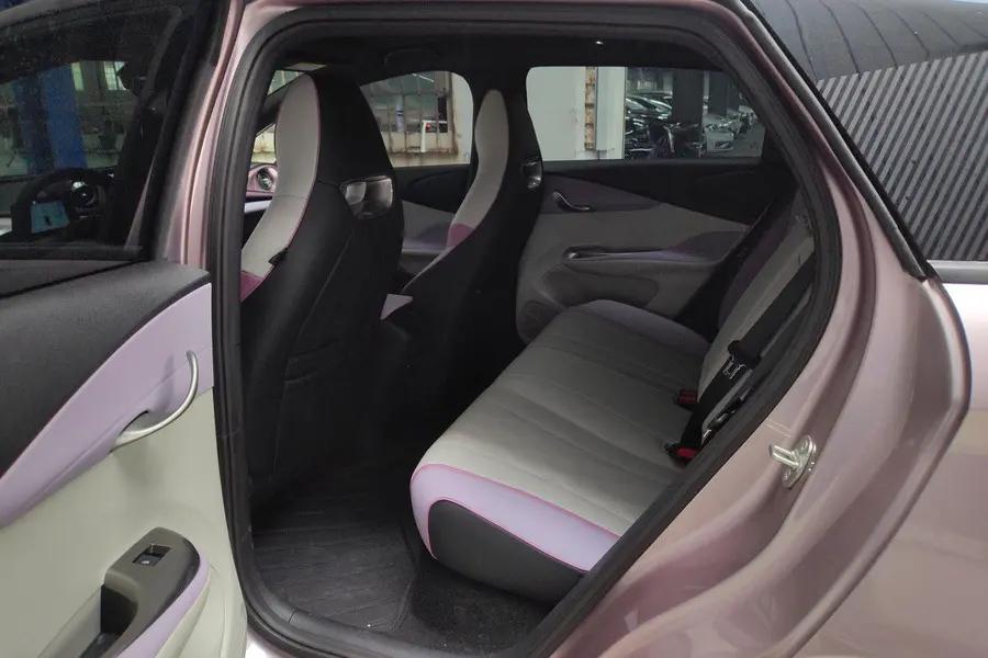 BYD 2023 Dolphin 420km Fashion Edition Automatic 5