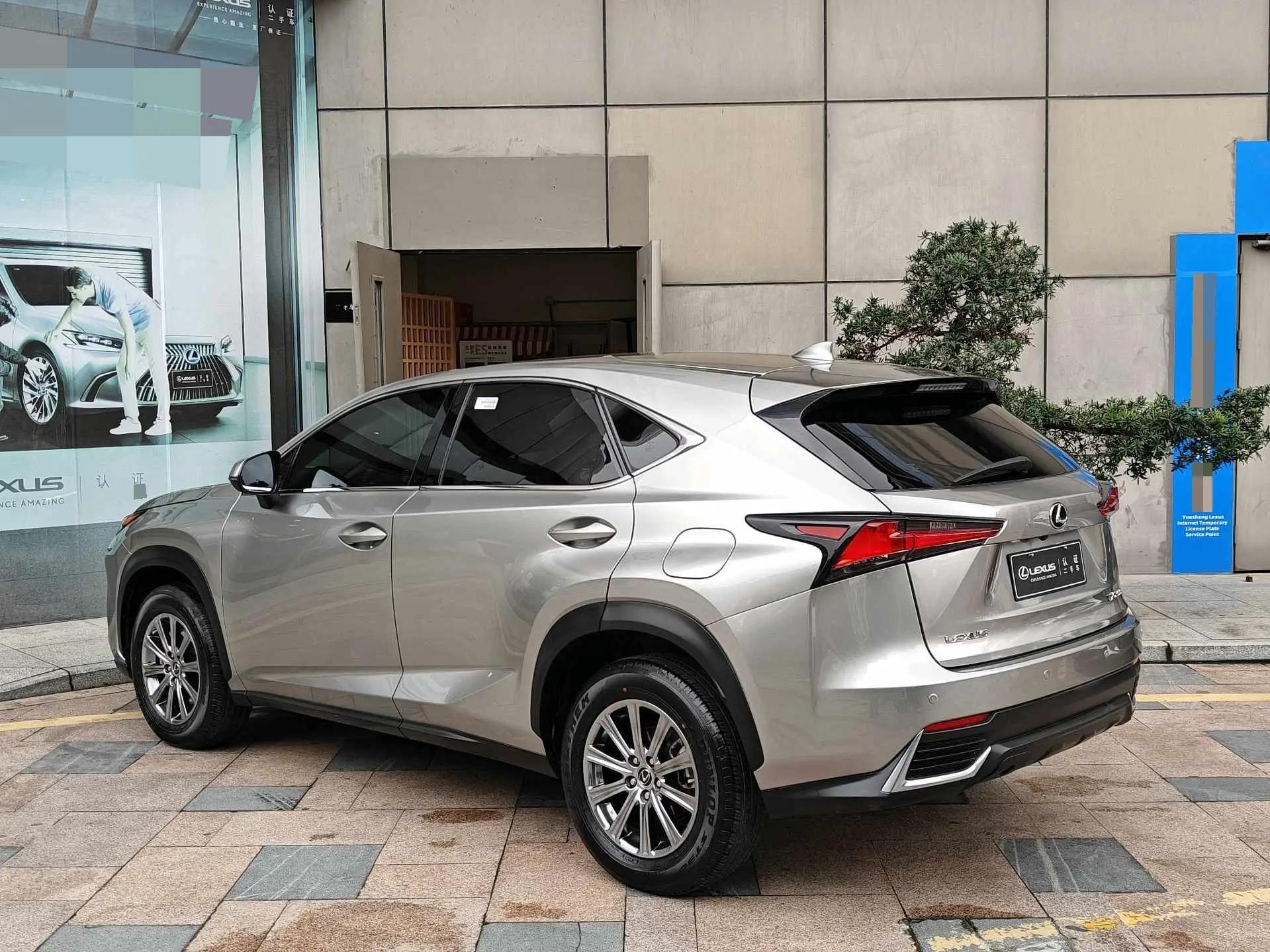 Lexus NX 2020 200 Front drive Fuyi version China VI 8
