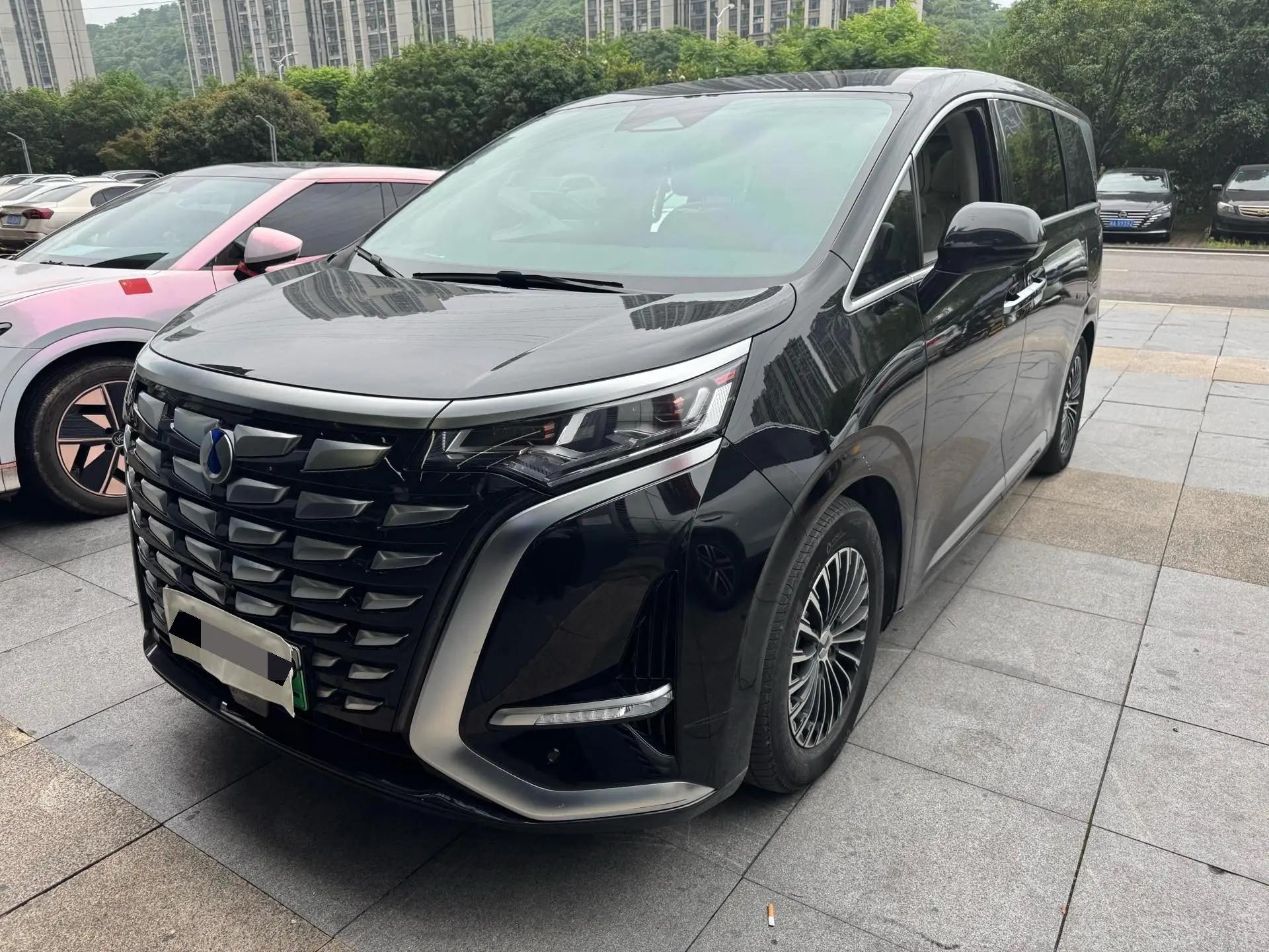 Denza D9 2024 DM-i 980 4-wheel drive Honor Model