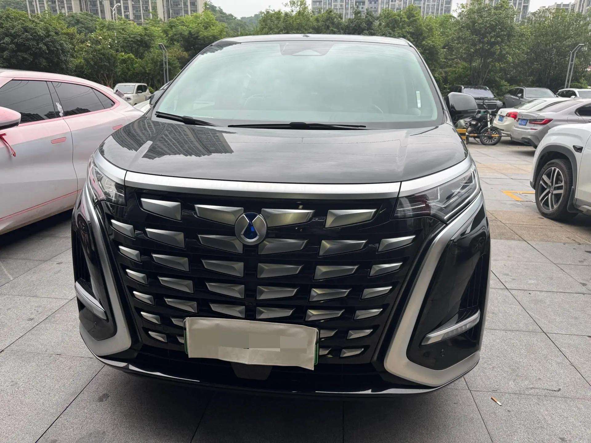Denza D9 2024 DM-i 980 4-wheel drive Honor Model 2