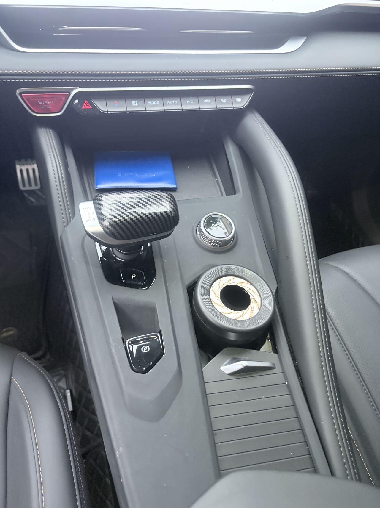 XingyueL (Monjaro) 2024 Model 2.0TD DCT EVO Two-Wheel Drive Changfeng Version 5