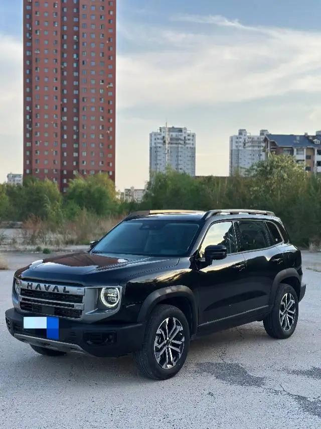 Haval 2024 Dog 1.5T Labrador Edition Automatic