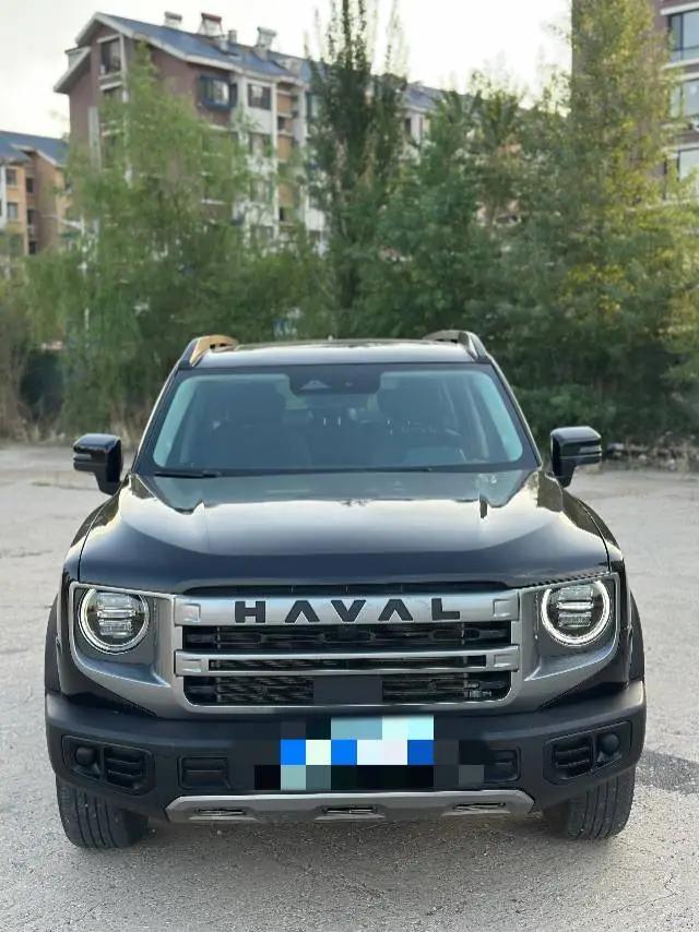 Haval 2024 Dog 1.5T Labrador Edition Automatic 2