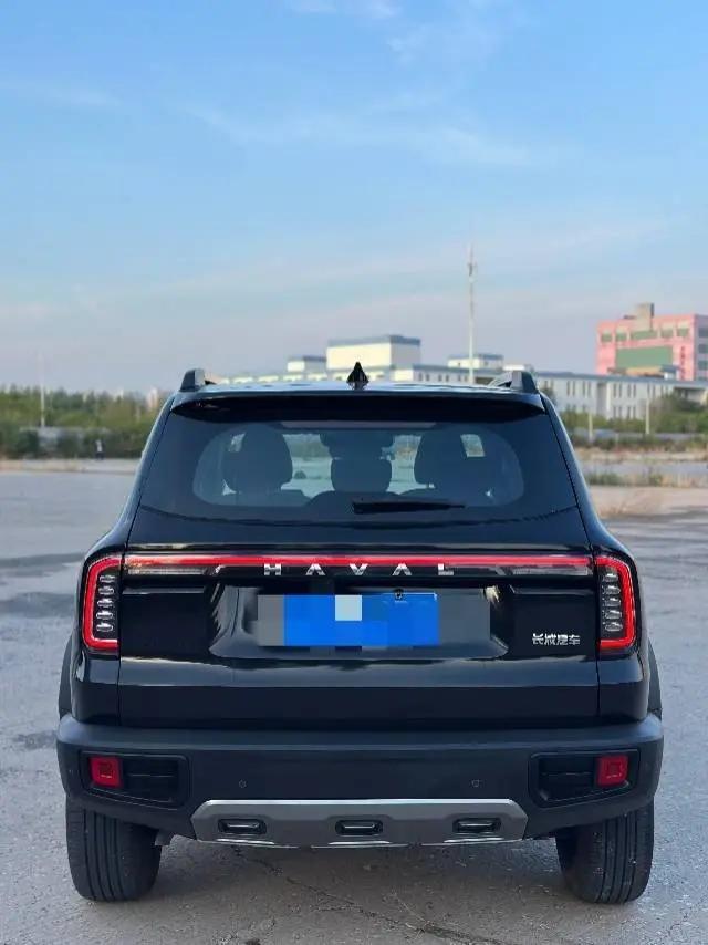 Haval 2024 Dog 1.5T Labrador Edition Automatic 3