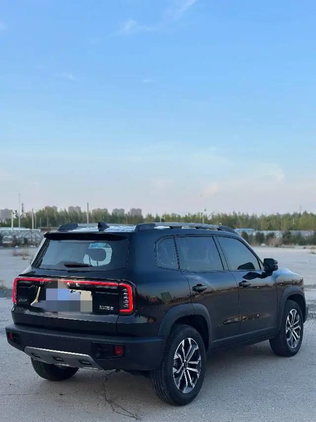 Haval 2024 Dog 1.5T Labrador Edition Automatic 4