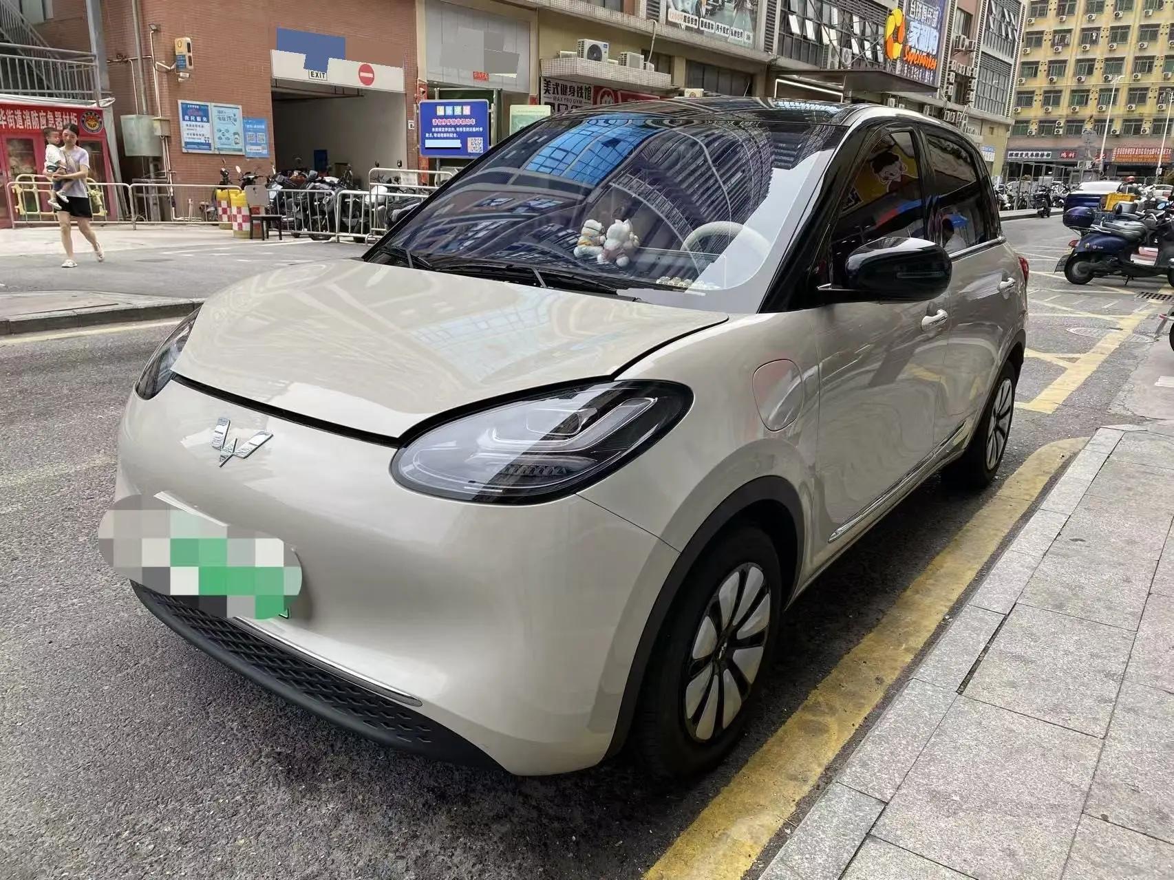 WuLing Plantronics 2024 333km Pleasant