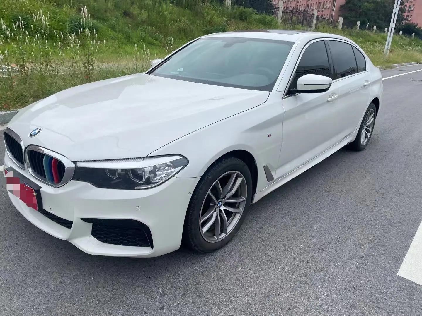 BMW 5 Series 2019 525Li Deluxe Suit