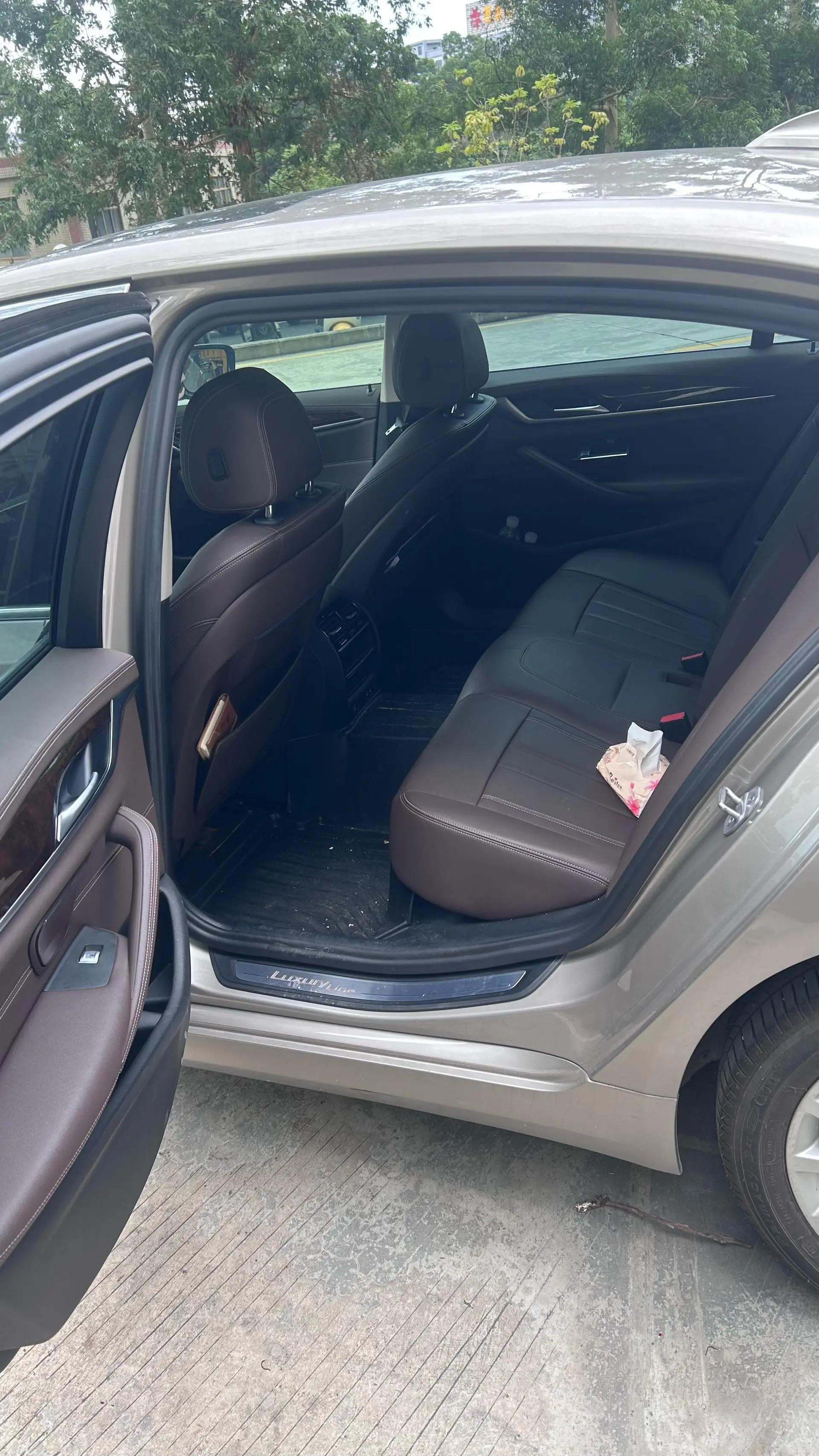 BMW 5 Series 2020 525Li Deluxe Suit 4