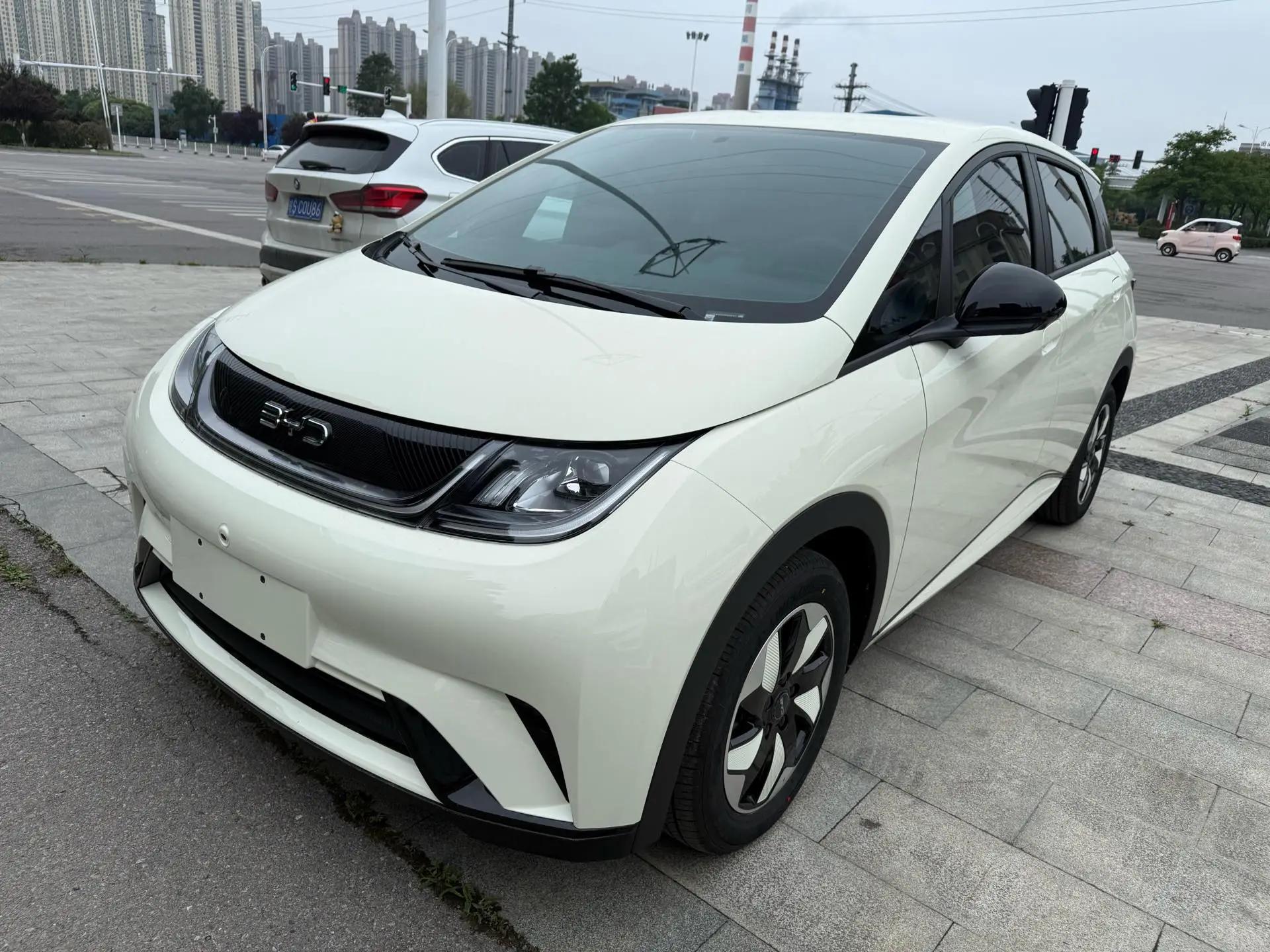BYD 2025 Dolphin 420km Freedom Edition Automatic