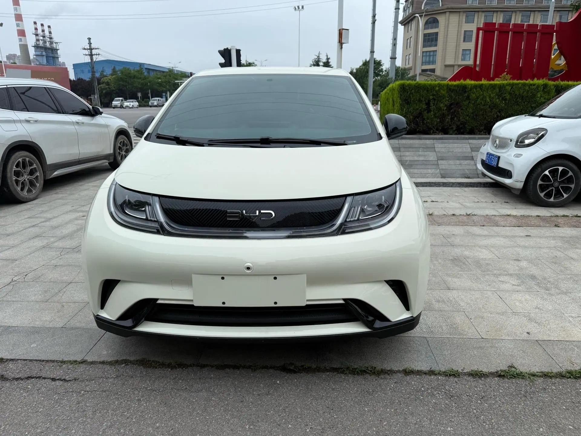 BYD 2025 Dolphin 420km Freedom Edition Automatic 2
