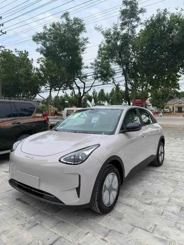 Star Wish 2026 310km Youth Edition