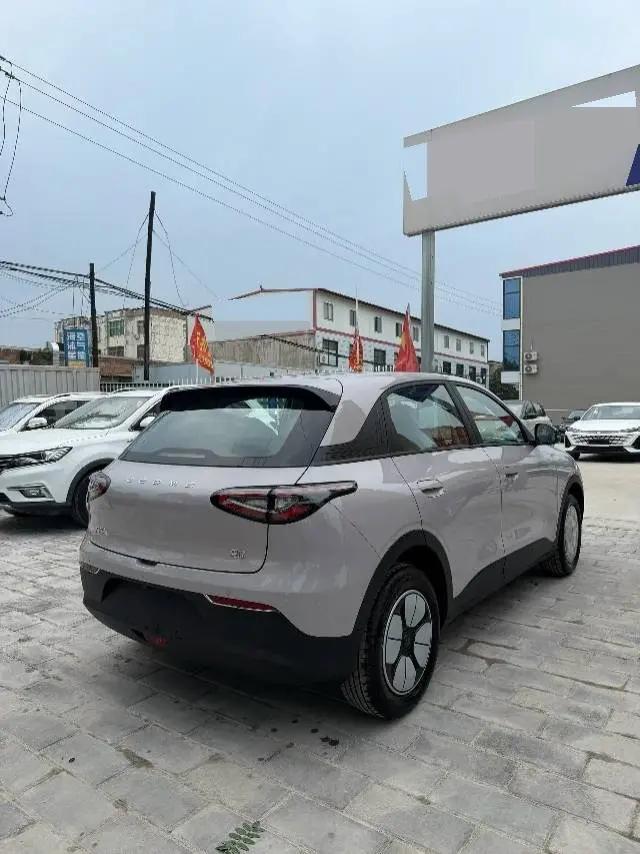 Star Wish 2026 310km Youth Edition 4