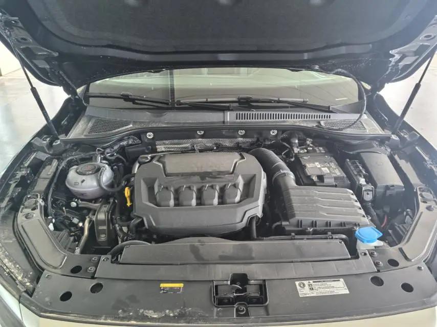 Volkswagen 2026 Passat 2.0TSI 380TSI Subut Longteng Edition Automatic Gear 13