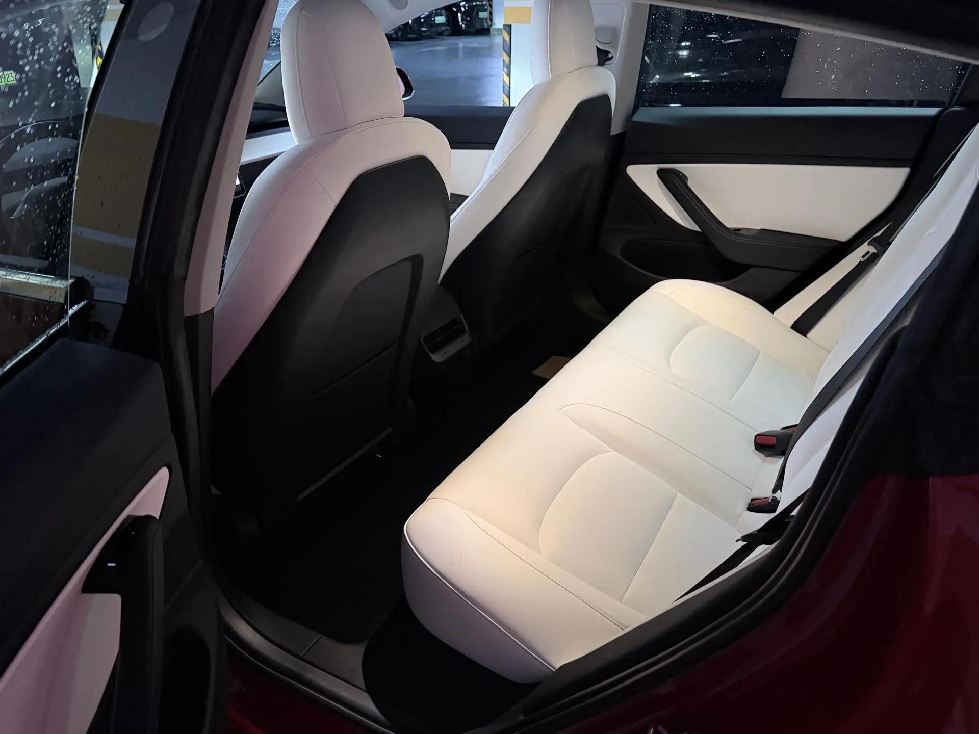 Model 3 2020 long-range rear-wheel drive version 3
