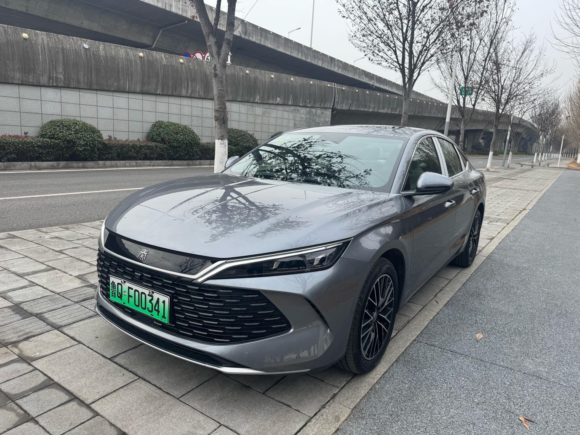 Qin L 2024 DM-i 120KM Excellence