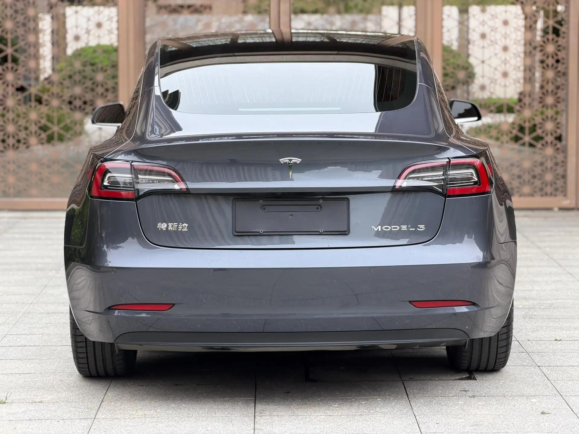 Model 3 2020 Standard Endurance Rear Drive Upgrade 6