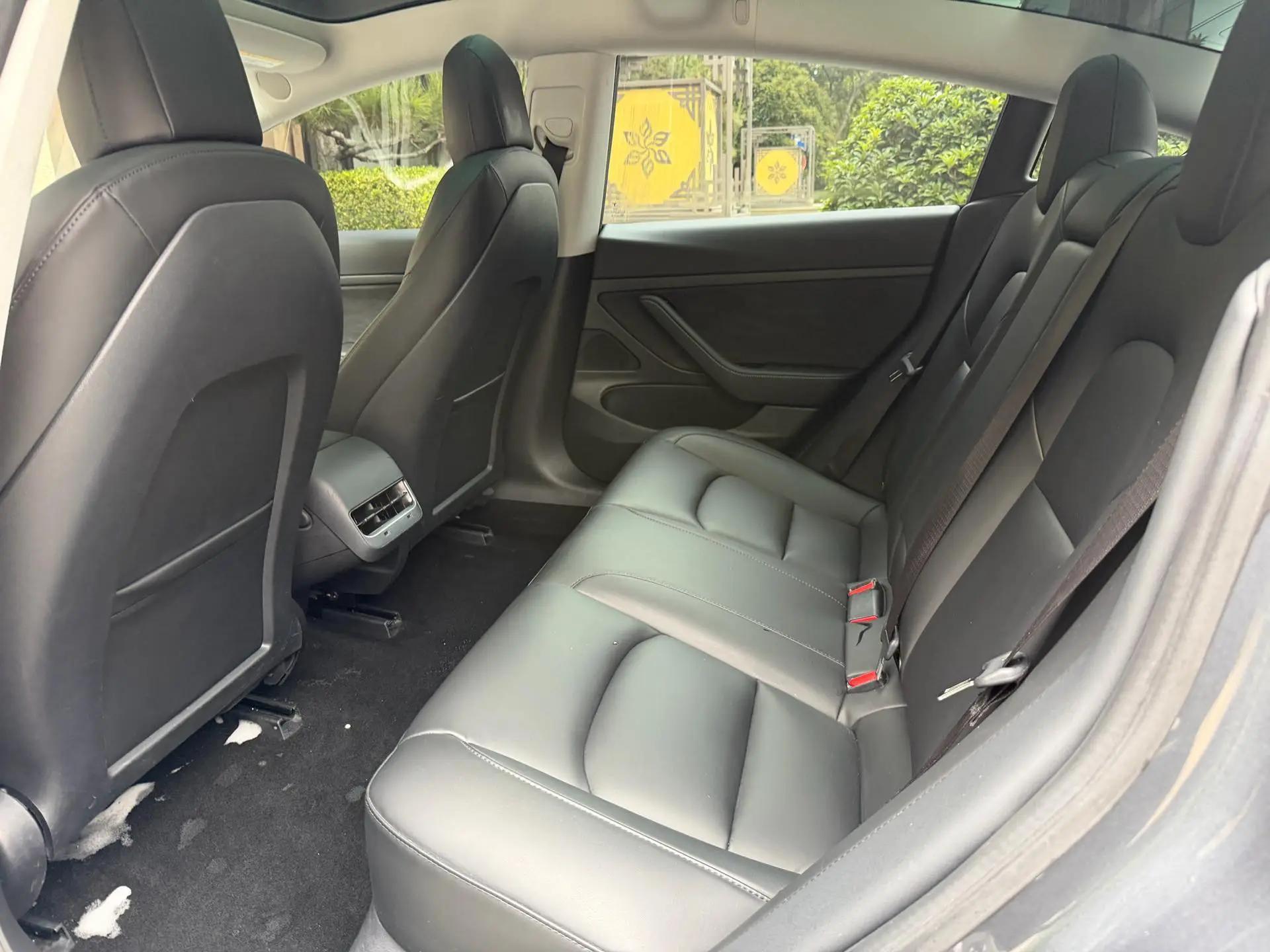 Model 3 2020 Standard Endurance Rear Drive Upgrade 9
