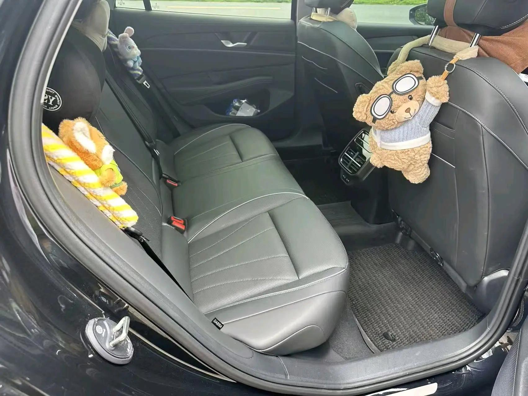 Volkswagen 2025 Passat Pro 2.0TSI 380TSI Star Dragon Edition Automatic Gear 3