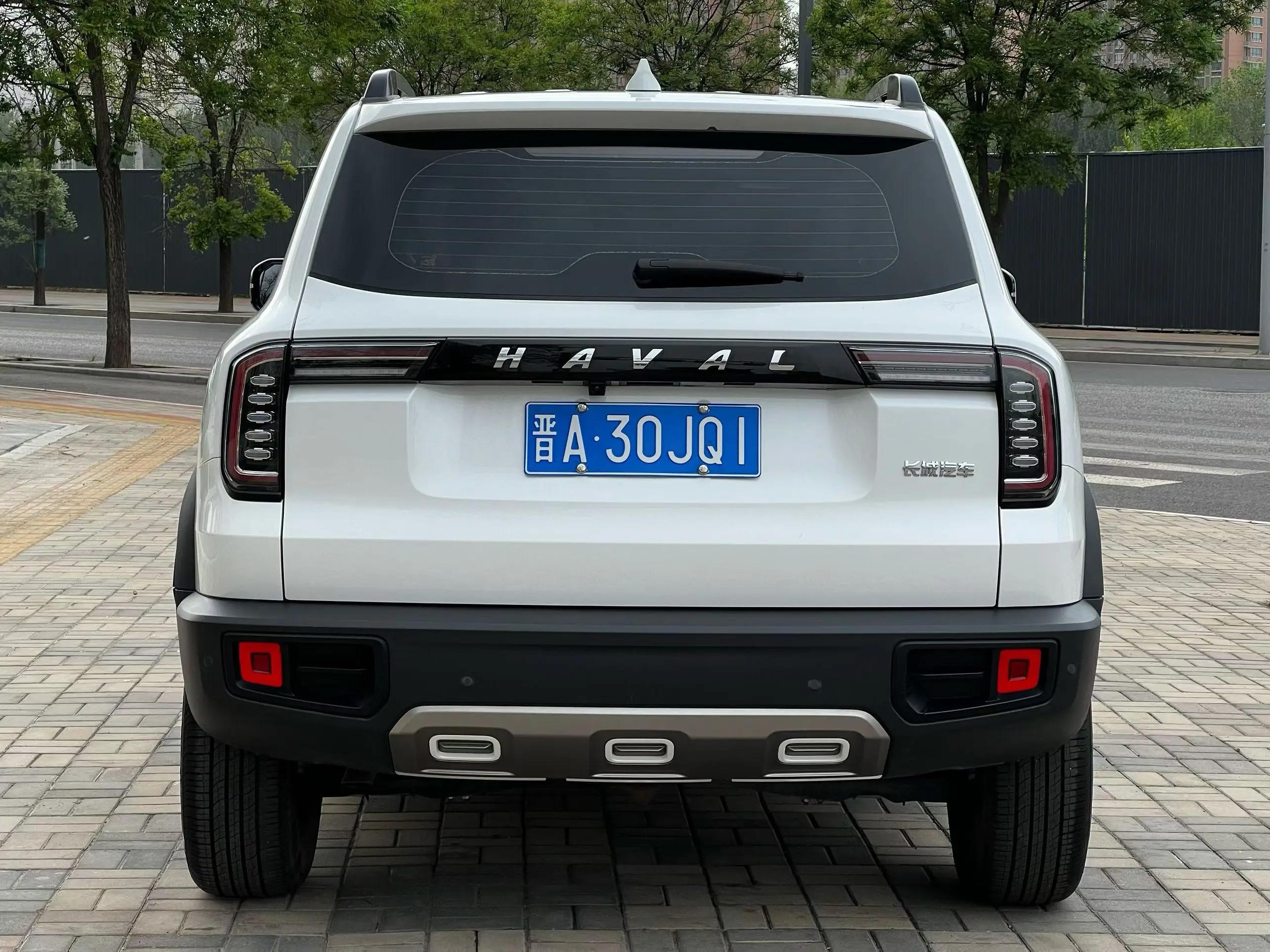 Haval Big Dog 2021 1.5T DCT Two-Drive Border Pastoral Edition 3