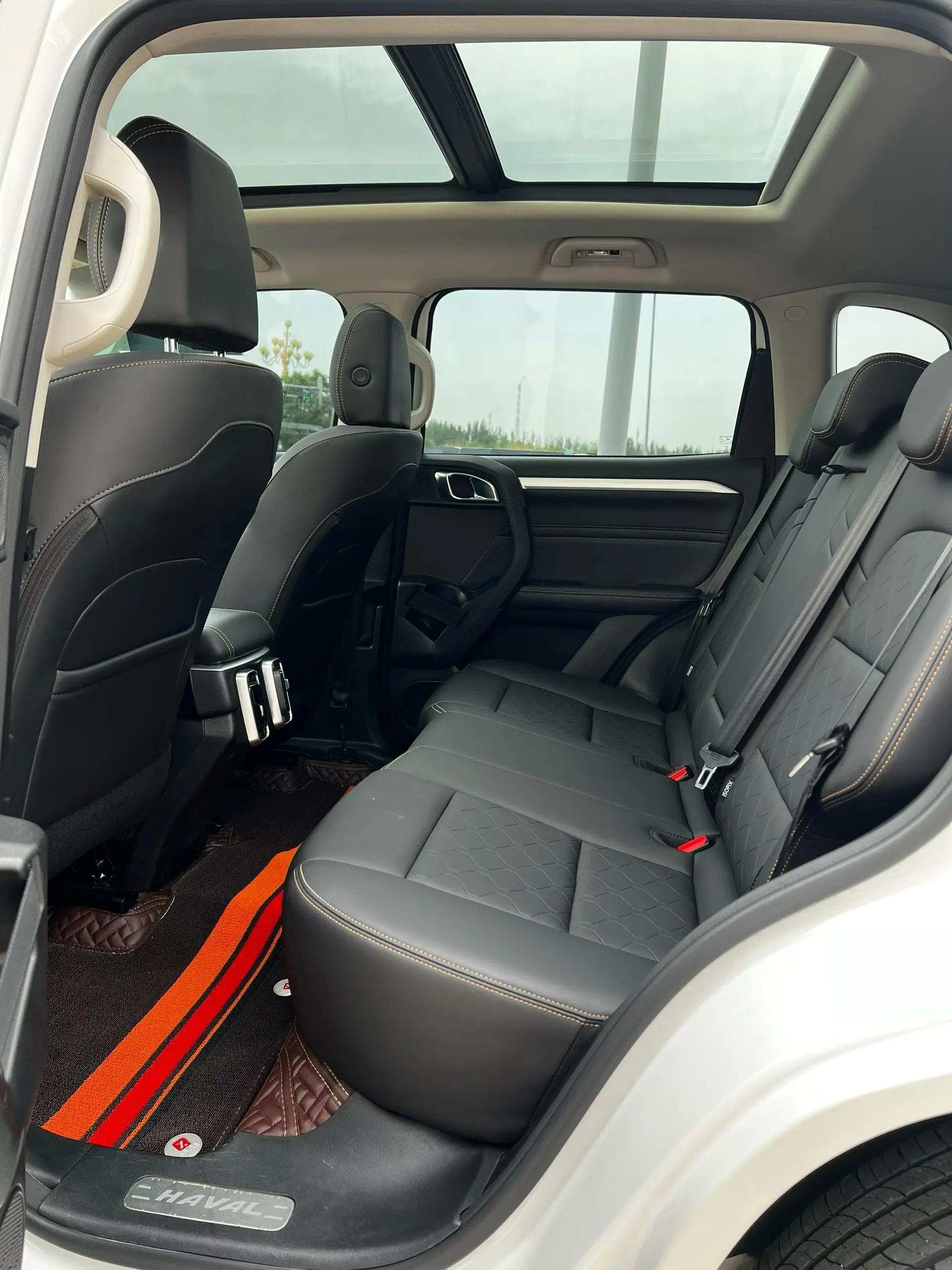 Haval Big Dog 2021 1.5T DCT Two-Drive Border Pastoral Edition 6