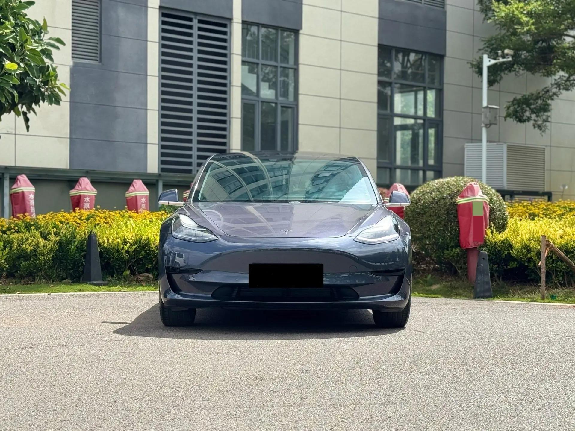 Model 3 2019 Standard Endurance Rear Drive Upgrade 2