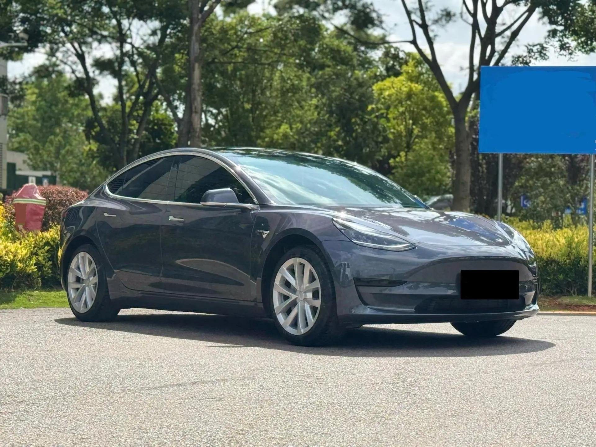 Model 3 2019 Standard Endurance Rear Drive Upgrade 3