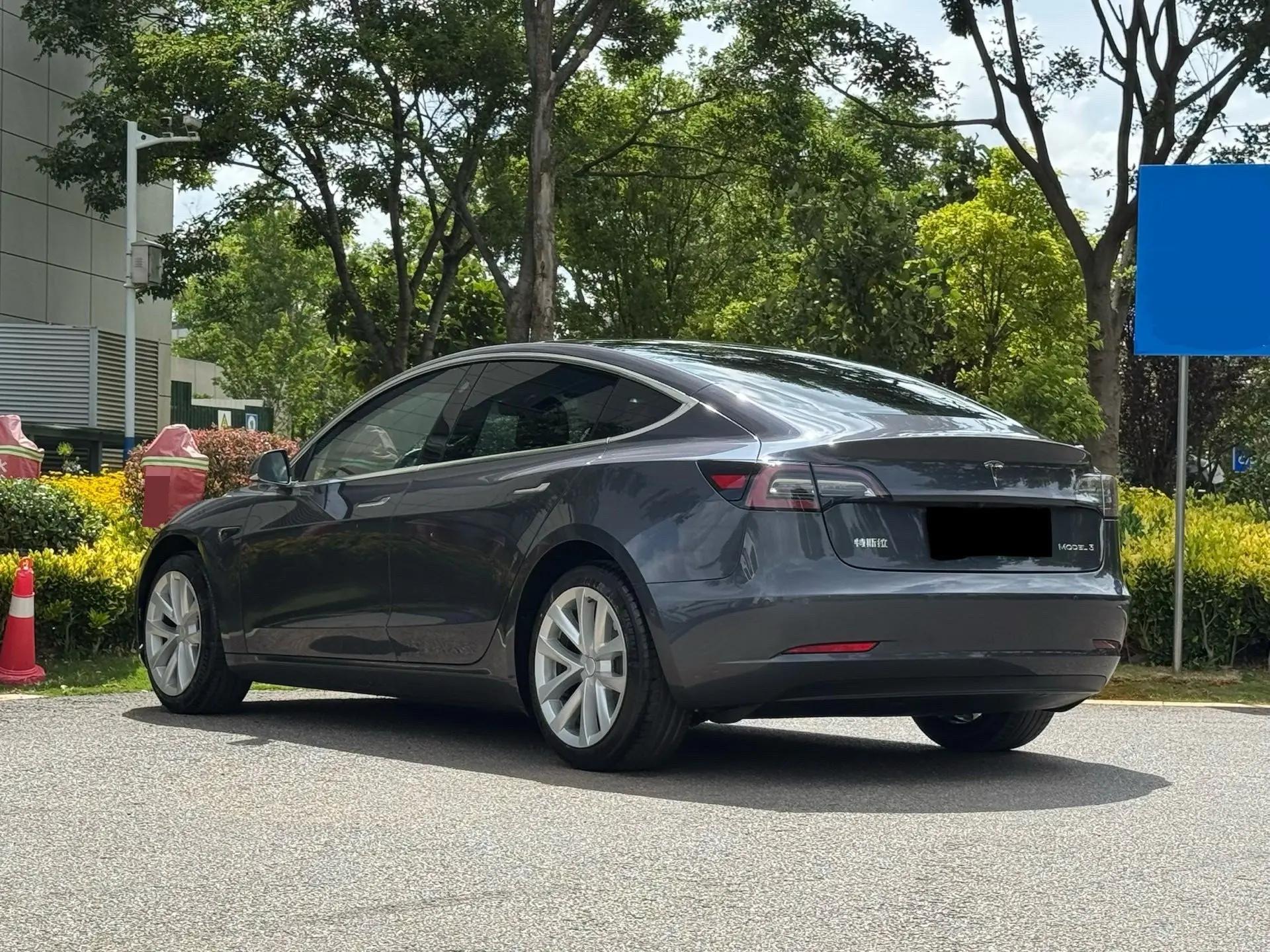 Model 3 2019 Standard Endurance Rear Drive Upgrade 6