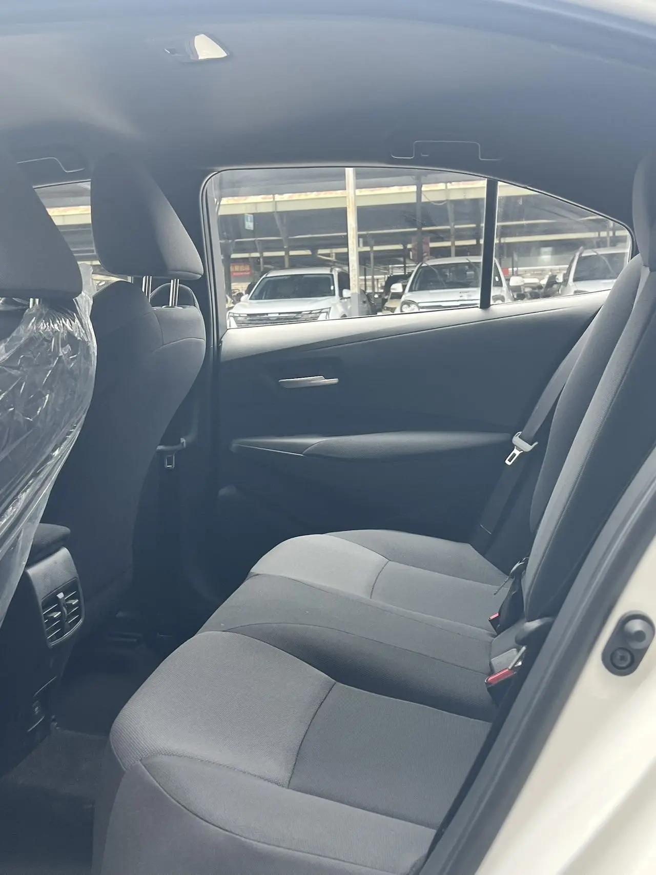 Lei Ling 2022 TNGA 1.5L CVT Leading Edition 7