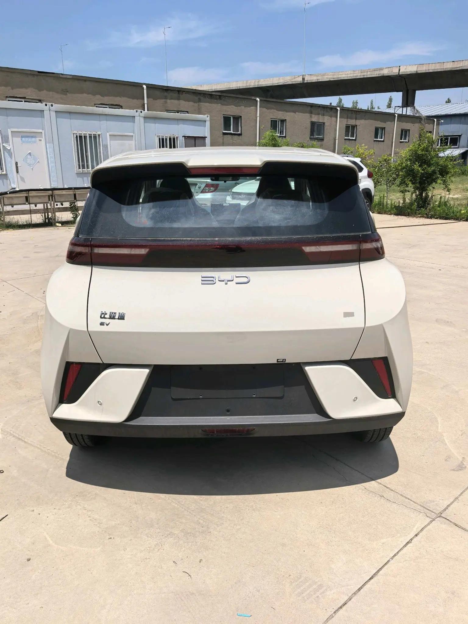 BYD 2025 Seagull Intelligent Driving Edition 305km Vitality Edition Automatic 7