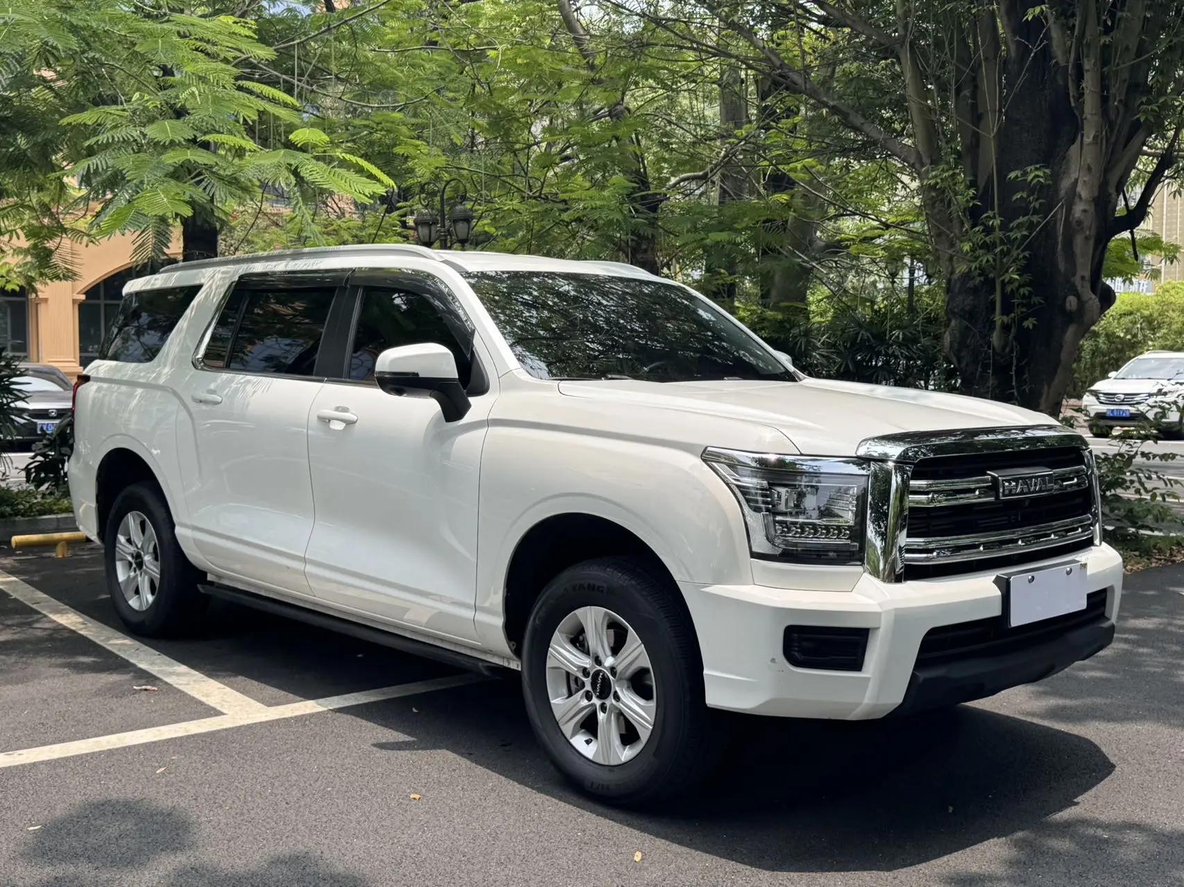 Haval H5 2023 2.0T Automatic Two-Drive Leading Gasoline 3