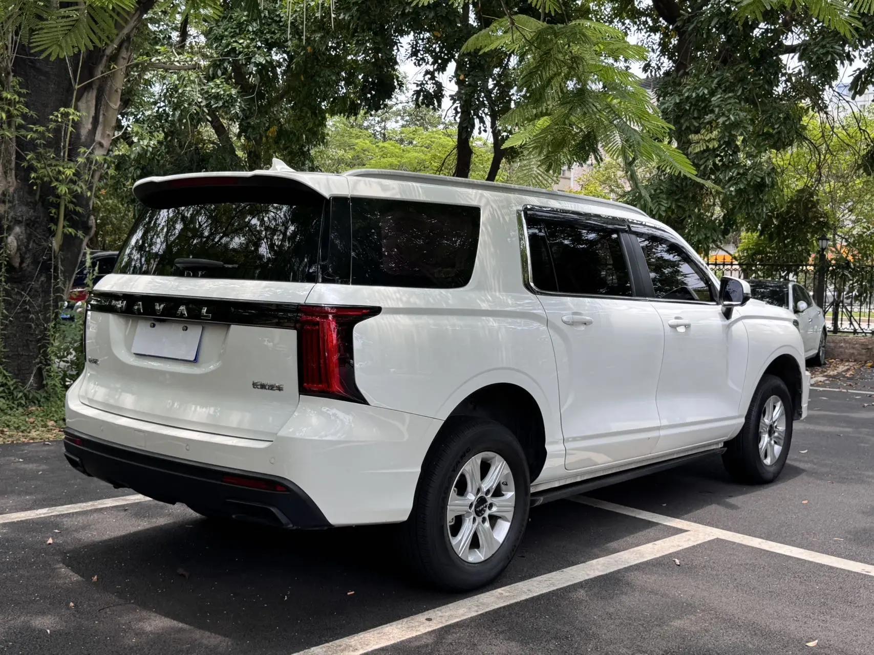 Haval H5 2023 2.0T Automatic Two-Drive Leading Gasoline 8