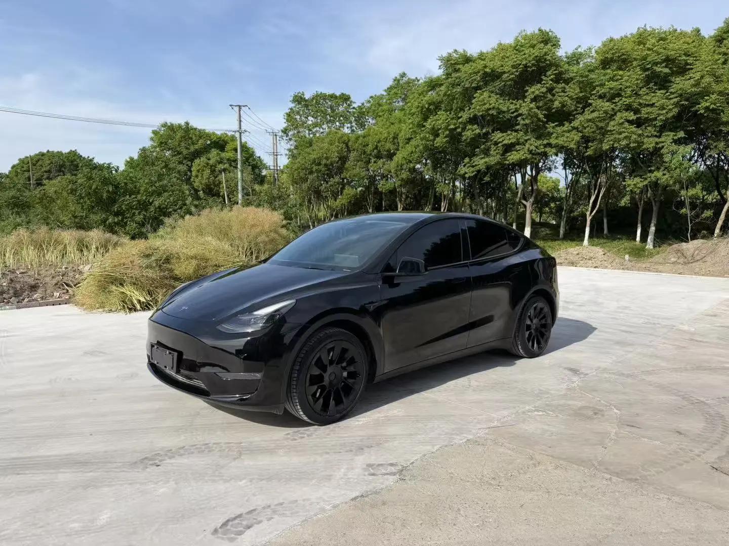 Model Y 2021 Standard Endurance Rear Drive Edition