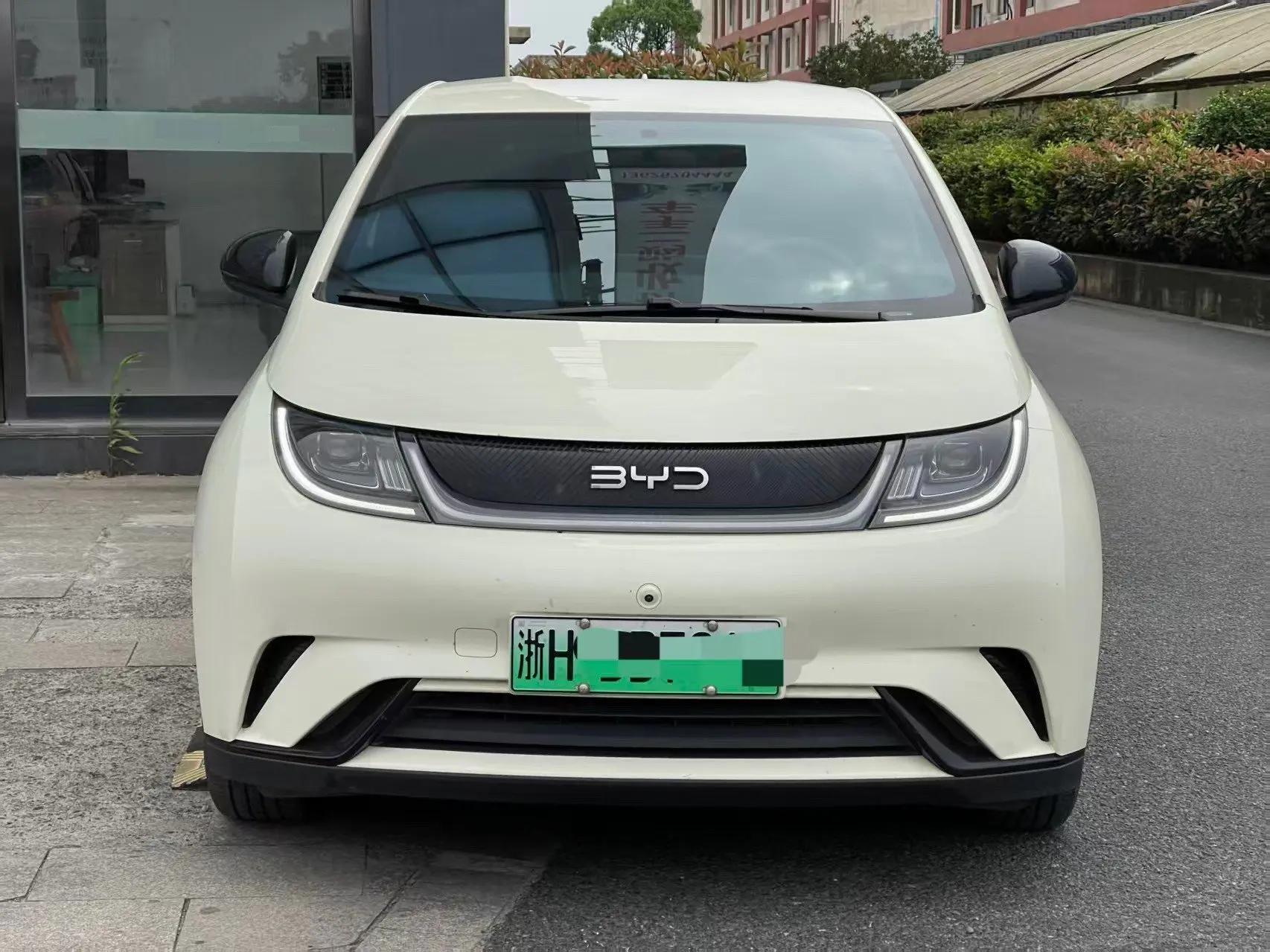 BYD 2024 Dolphin Glory Edition 420km Free Version Automatic 2