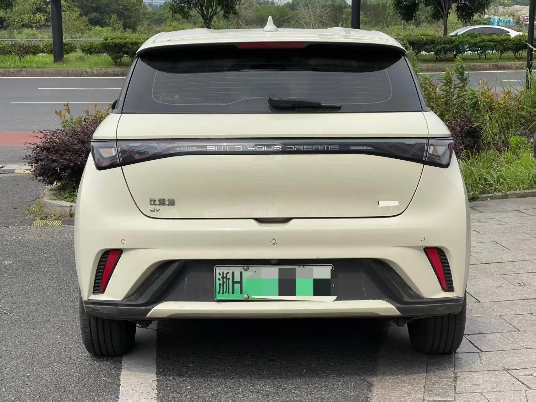 BYD 2024 Dolphin Glory Edition 420km Free Version Automatic 3
