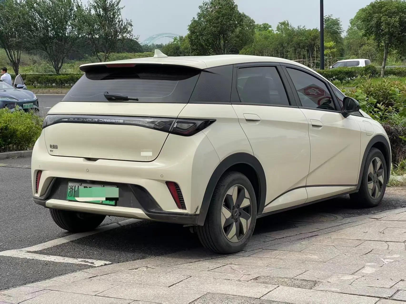 BYD 2024 Dolphin Glory Edition 420km Free Version Automatic 4