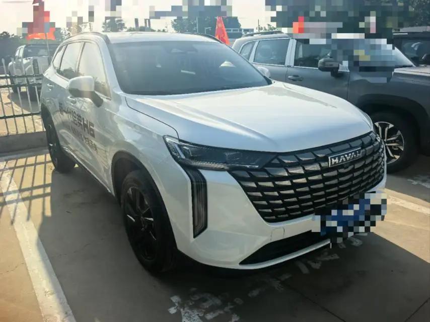 Haval 2024 H6 2.0T Two-Drive Max Automatic Gear 2