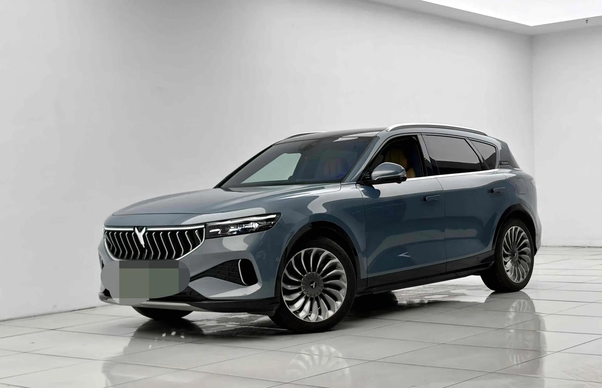 Voyah FREE 2021 4-wheel drive extended range exclusive luxury package