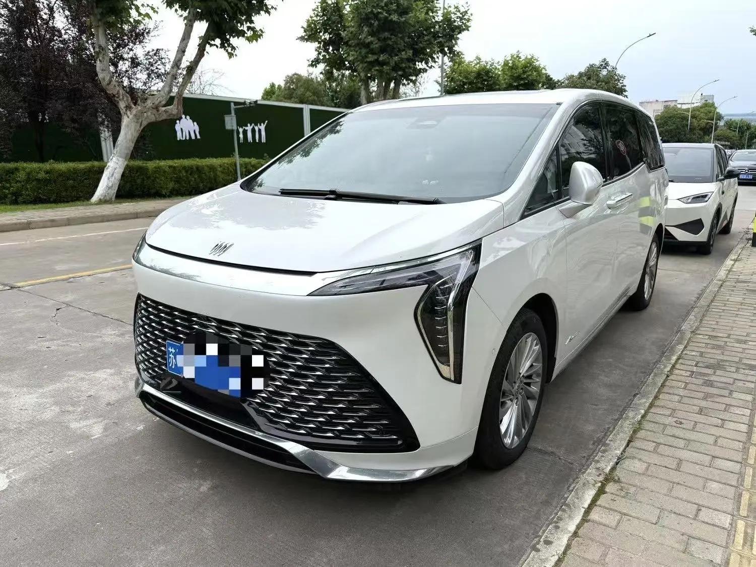 Century 2023 Model 2.0T Seven-Seat Yanshi Edition