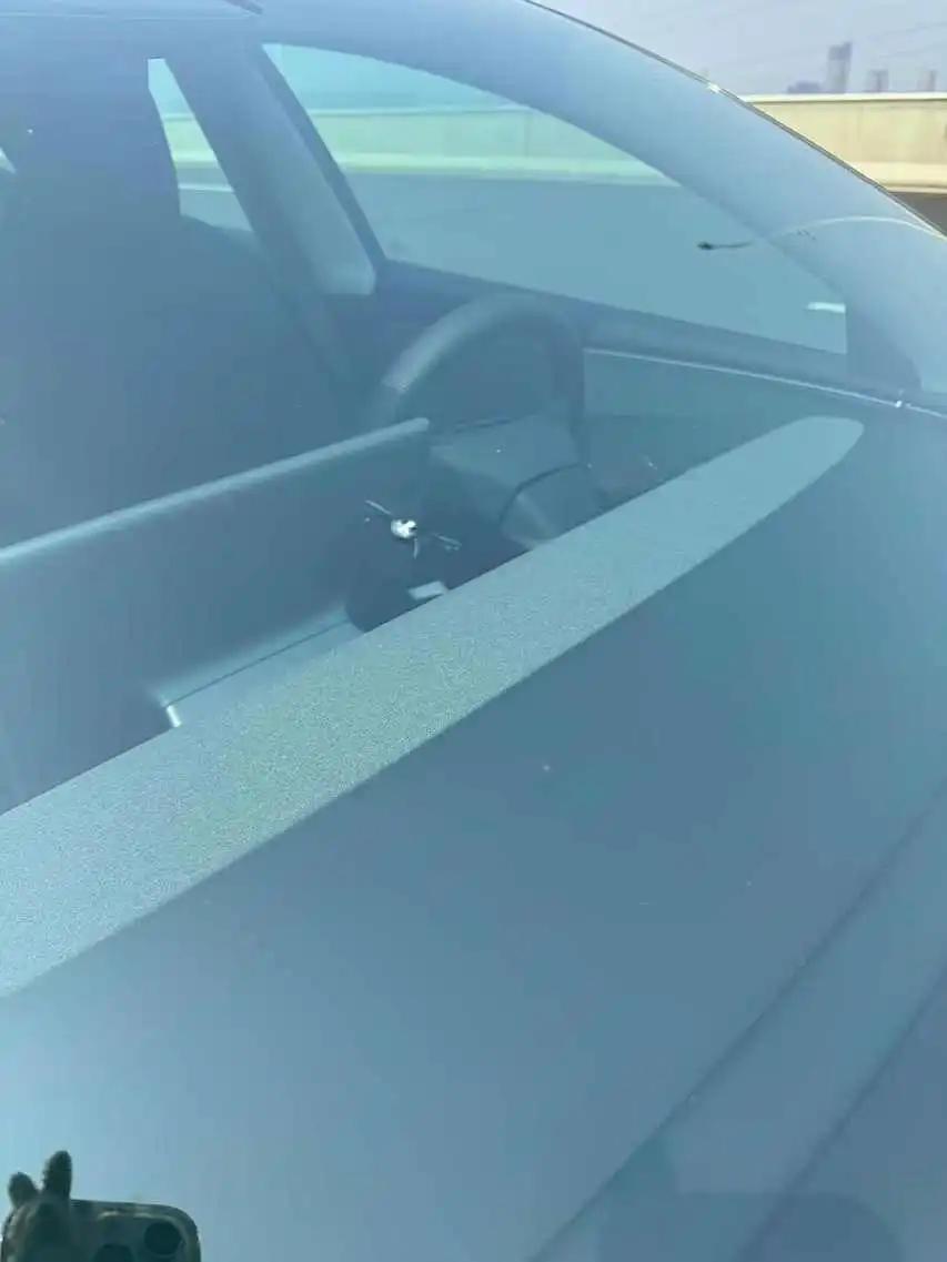 Model 3 2023 Rear-Wheel Drive Edition 9